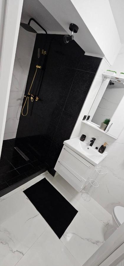 Rarina House Appartement Braşov Buitenkant foto
